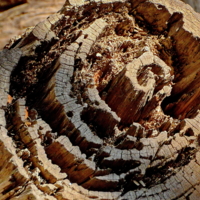 Время безжалостно