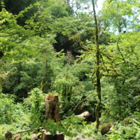 В летнй зной