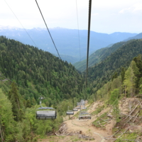 Вынужденный спил