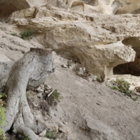 На склоне веков