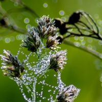 Утренний наряд...