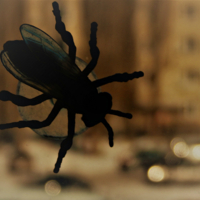 Ненастоящая