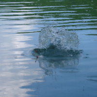 Ну, вот, порыбачил...