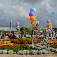 День города...