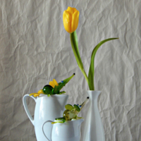 Я подарю тебе...