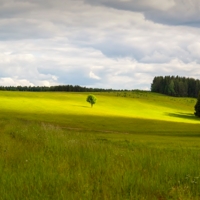 Согретое одиночество...