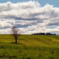 Осенняя грусть...