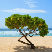 Танец на песке