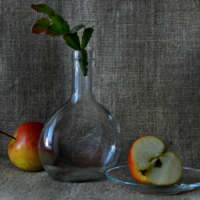 Полтора яблока