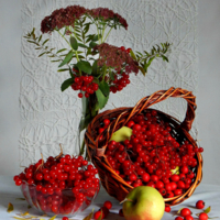 Осенняя симфония