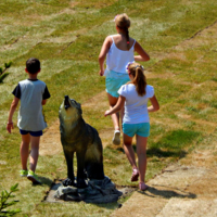 Завыл ...и превратился в камень