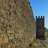 На прогулке