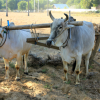 По старинке