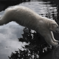 Пролетая над...