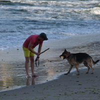 муки выбора