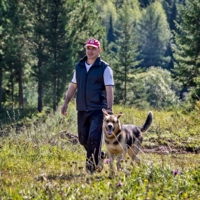 Встреча в лесу