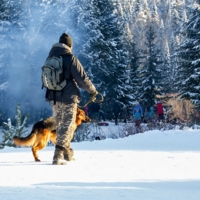 С верным другом...