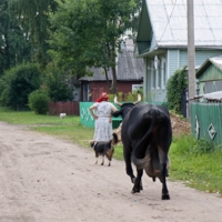 Домой! Скорей!!