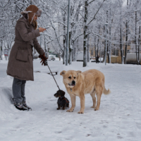 Остановка в пути