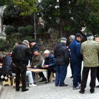 в любое время года