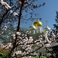 Весна в Зачатьевском монастыре.