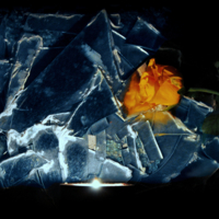 Лёд и роза