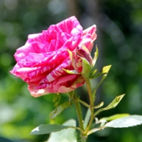 Навстречу солнцу