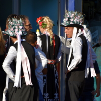 шляпа-елка)