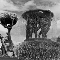 Полная чаша