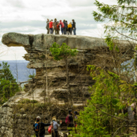 Камень черепаха