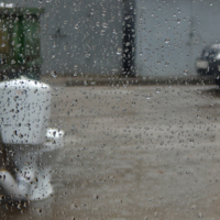 Не пришелся ко двору