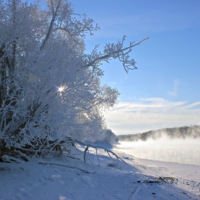 Мороз и солнце