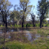 Вода... кругом вода