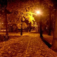 Вечерний парк