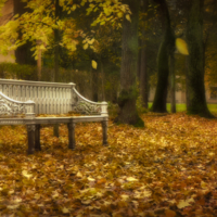 Села осень на скамейку