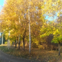 Осень