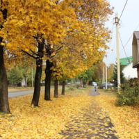 Улица "Осенняя"