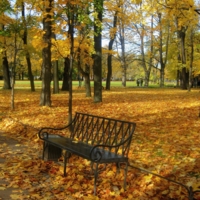 Осень в Михайловском саду