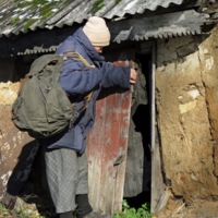 Из дальних странствий возвратясь