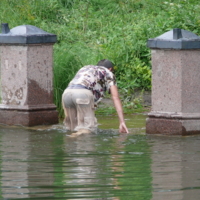 вход в парк.. 