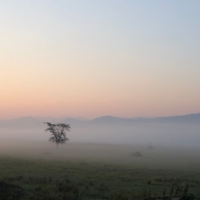 Просто утро...