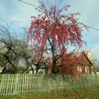 Для кого старалось?