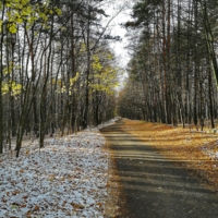 Граница осени.