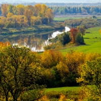 Золотая осень