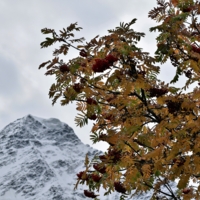 осень в горах