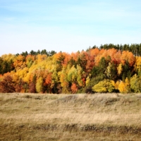 Все краски осени