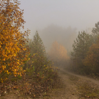 Осеннее утро