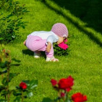 Любительница прекрасного