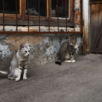 Кажется нас не ждали