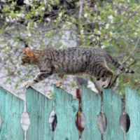 По важным делам!